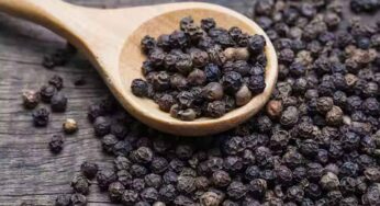 Pepper : మిరియాలు ఎన్ని అనారోగ్య స‌మ‌స్య‌ల‌ను త‌గ్గిస్తాయో తెలుసా ? ఎలా వాడాలంటే ?