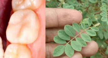 Pippi Pannu : పిప్పి ప‌న్ను నొప్పి నుంచి బ‌య‌ట ప‌డాలంటే.. ఇలా చేయాలి..!