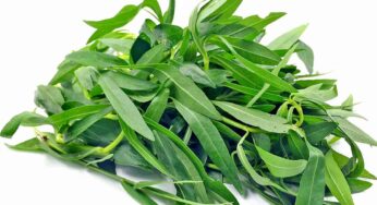 Ponnaganti Kura : పొన్న‌గంటి కూర చేసే మేలు అంతా ఇంతా కాదు.. దీన్ని త‌ప్ప‌నిస‌రిగా తినాలి..!