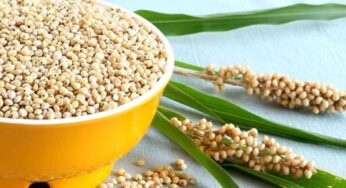Sorghum : జొన్న‌ల‌ను తిన‌డం వ‌ల్ల క‌లిగే లాభాలు తెలిస్తే.. అస‌లు విడిచిపెట్ట‌రు..!