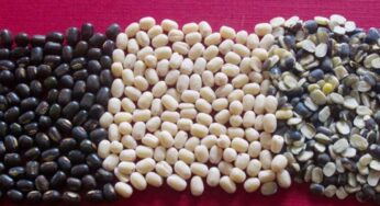 Black Gram : మినుముల‌తో ఎన్నో ప్ర‌యోజ‌నాలు.. ముఖ్యంగా పురుషుల‌కు..!