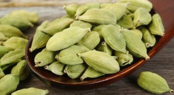 Cardamom : యాల‌కుల పొడిని రోజూ తింటే ఏమ‌వుతుందో తెలుసా ?