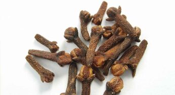 Cloves : ల‌వంగాల‌ను ఏ విధంగా వాడితే.. ఏయే అనారోగ్య స‌మ‌స్య‌లు త‌గ్గుతాయంటే..?