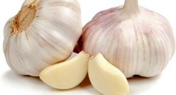 Garlic : రోజూ ప‌ర‌గ‌డుపునే 3 వెల్లుల్లి రెబ్బ‌ల‌ను తినాలి.. ముఖ్యంగా పురుషులు..!