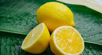 Lemon : అనుకున్నవి జ‌రిగి ధ‌నం బాగా సంపాదించాలా.. నిమ్మ‌కాయ‌ల‌తో ఇలా చేయాలి..!