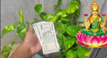 Money Plant : మ‌నీ ప్లాంట్ ద‌గ్గ‌ర ఇలా చేస్తే.. డ‌బ్బే డ‌బ్బు.. ఆర్థిక స‌మ‌స్య‌ల‌న్నీ పోతాయి..!