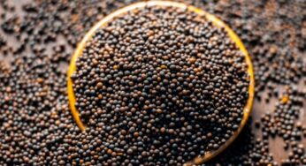 Mustard : ఆవాల‌తో ఇలా చేస్తే దిష్టి, దుష్ట శ‌క్తుల ప్ర‌భావం పోతుంది..!