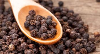 Black Pepper : ఉద‌యాన్నే ప‌ర‌గ‌డుపునే రెండు మిరియాల‌ను న‌మిలి మింగండి.. ఎన్నో అద్భుత‌మైన లాభాలు ఉంటాయి..