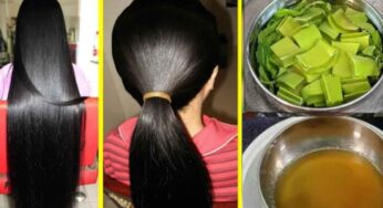 Hair Problems : ఈ నూనెని రాస్తే చాలు.. పలుచగా ఉన్న జుట్టు చాలా ఒత్తుగా, పొడవుగా పెరుగుతుంది..