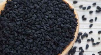 Kalonji Seeds : ఈ విత్త‌నాల గురించి తెలుసా.. వీటిని ఇలా తీసుకుంటే కొవ్వు మొత్తం క‌రిగిపోతుంది..