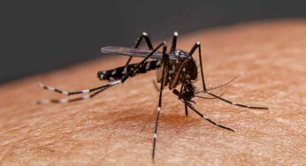 ఈ చిట్కాల‌ను పాటిస్తే దోమ‌లు దెబ్బ‌కు ప‌రార్‌… మ‌ళ్లీ రావు..