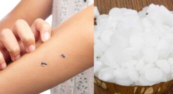 Mosquitoes : దోమ‌ల‌న్నింటినీ 10 నిమిషాల్లోనే నాశ‌నం చేసే అద్భుత‌మైన చిట్కా..!