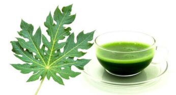 Papaya Leaves Juice : ఈ సీజ‌న్‌లో ఈ ఆకుల ర‌సాన్ని త‌ప్ప‌క తాగాలి.. ఎందుకో తెలుసా..?