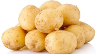 Potatoes : ఆలుగ‌డ్డ‌ల‌ను తింటే బ‌రువు పెరుగుతారా ? అస‌లు నిజ‌మెంత ?