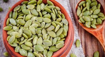 Pumpkin Seeds : గుమ్మ‌డికాయ విత్త‌నాల‌ను తేలిగ్గా తీసుకోకండి.. వీటితో క‌లిగే లాభాలు తెలిస్తే ఆశ్చ‌ర్య‌పోతారు..