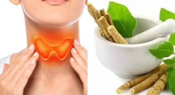 Thyroid : థైరాయిడ్ స‌మ‌స్య‌కు దీంతో శాశ్వ‌త ప‌రిష్కారం.. నిపుణులు చెబుతున్న మాట‌..!