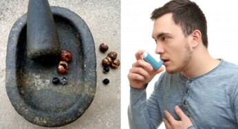 Asthma : ఆస్తమాకి శాశ్వత పరిష్కారం ఈ కాయ పప్పు.. రోజూ తినాలి..