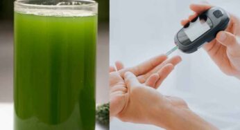 Bitter Gourd Juice : షుగ‌ర్ వ్యాధిగ్ర‌స్తుల‌కు అమృతం ఈ జ్యూస్‌.. ఎలా త‌యారు చేయాలంటే..?