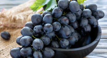 Black Grapes : న‌ల్ల ద్రాక్ష‌లు.. మ‌న‌కు ల‌భించిన వ‌రం.. ఎలాగో తెలుసా..?