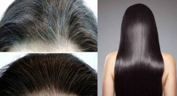 Black Hair : తెల్ల జుట్టు న‌ల్ల‌గా మారాలంటే.. ఇలా చేయాలి.. స‌హ‌జ‌సిద్ధంగా న‌ల్ల‌గా మార్చుకోండి..!