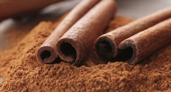 Cinnamon : దాల్చిన చెక్క‌తో ఏయే వ్యాధుల‌ను ఎలా న‌యం చేసుకోవాలంటే..?