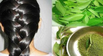 Curry Leaves For Hair : క‌రివేపాకుల‌తో ఇలా చేస్తే.. జుట్టు వ‌ద్ద‌న్నా పెరుగుతుంది..!
