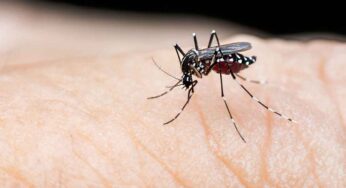 Dengue : ఈ జాగ్ర‌త్త‌లు పాటిస్తే.. డెంగ్యూ రాకుండా ముందుగానే అడ్డుకోవ‌చ్చు..