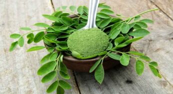 Drumstick Leaves : మున‌గాకుతో ఎన్ని లాభాలో తెలుసా ? ఇలా వాడితే ఎన్నో వ్యాధులు న‌య‌మ‌వుతాయి..!