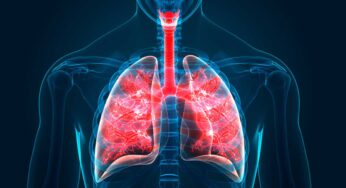 Lungs : వీటిని రోజూ తింటే.. మీ ఊపిరితిత్తులు శుభ్ర‌మ‌వుతాయి..!