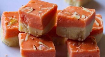 Maida Pindi Burfi : కేవ‌లం 10 నిమిషాల్లోనే సింపుల్‌గా చేసుకోగ‌లిగే స్వీట్ ఇది..!