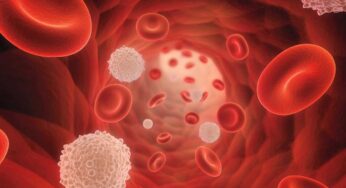 Platelets Increasing Foods : వీటిని తింటే.. ప్లేట్‌లెట్స్ ఒకే రోజులో 2 ల‌క్ష‌లు పెరుగుతాయి..!