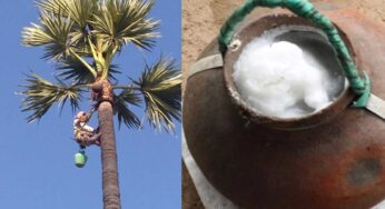 Thati Kallu : తాటిక‌ల్లుతో ప్ర‌మాద‌క‌ర‌మైన వ్యాధుల‌కు చెక్‌.. ఎన్నో లాభాలు ఉంటాయి..