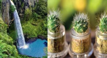 Vastu Tips : మీ ఇంట్లో ఈ వ‌స్తువులు ఉన్నాయా.. వెంట‌నే తీసేయండి.. లేదంటే తీవ్ర‌మైన న‌ష్టం క‌లుగుతుంది..