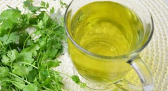 Coriander Leaves Tea : కొత్తిమీర టీని రోజూ ప‌రగ‌డుపున తాగాలి.. ఎన్నో ఊహించ‌ని మార్పులు జ‌రుగుతాయి..!