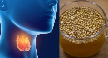 Thyroid : థైరాయిడ్ స‌మ‌స్య‌కు చెక్ పెట్టే అద్భుత‌మైన చిట్కాలు.. ఇలా చేయాలి..!