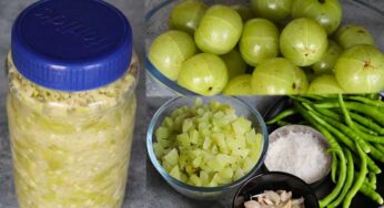 Usirikaya Thokku Pachadi : ఉసిరికాయ‌ల‌తో తొక్కు ప‌చ్చ‌డి ఇలా పెట్టండి.. రుచి చూస్తే వ‌ద‌ల‌రు..