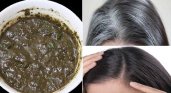 Black Hair : దీన్ని ఒక్క‌సారి రాస్తే.. మీ జుట్టు ఎప్ప‌టికీ న‌ల్ల‌గానే ఉంటుంది..!