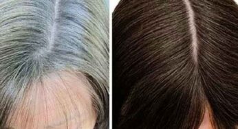Black Hair : తెల్ల జుట్టును చాలా త్వ‌ర‌గా న‌ల్ల‌గా మార్చుకోవ‌చ్చు.. మ‌ళ్లీ జుట్టు తెల్ల‌గా మార‌దు..