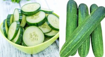 Cucumber : భోజనంతోపాటు కీర‌దోస‌ను తింటున్నారా.. అయితే ఆగండి.. ముందు ఈ విష‌యాలను తెలుసుకోండి..