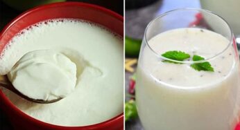 Curd And Buttermilk : పెరుగు లేదా మ‌జ్జిగ‌ను రోజూ తీసుకుంటున్నారా.. అయితే ముందు ఇది చ‌ద‌వండి..!