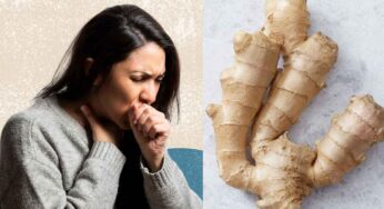 Ginger For Cough : ద‌గ్గుని వెంట‌నే త‌గ్గించుకోవాలా.. అయితే అల్లంతో ఇలా చేయండి..!