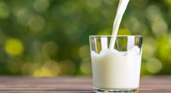 Milk : బ‌రువు త‌గ్గాల‌ని డైట్ పాటించేవారు.. పాల‌ను తాగ‌వ‌చ్చా.. నిపుణులు ఏమ‌ని చెబుతున్నారు..?