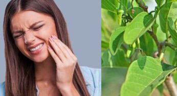 Teeth Pain : పిప్పి ప‌న్ను, దంతాల నొప్పి స‌మ‌స్య‌ల‌కు అద్బుత‌మైన ప‌రిష్కారం.. ఇలా చేయాలి..!