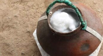 Thati Kallu Benefits : తాటిక‌ల్లును తాగ‌డం వ‌ల్ల ఎన్ని లాభాలు క‌లుగుతాయో తెలుసా..?
