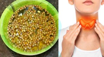 Coriander Seeds For Thyroid : ఈ గింజ‌ల‌ను ఇలా తీసుకుంటే.. థైరాయిడ్ స‌మ‌స్య‌కు బై బై చెప్ప‌వ‌చ్చు..