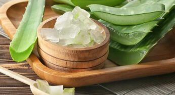Aloe Vera : క‌ల‌బంద‌లో దాగి ఉన్న ఆరోగ్య ర‌హ‌స్యాలు ఇవే.. తెలిస్తే వెంట‌నే ఉప‌యోగిస్తారు..