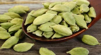 Cardamom : రోజూ రాత్రి ప‌డుకునే ముందు రెండు యాల‌కుల‌ను తిని గోరు వెచ్చ‌ని నీటిని తాగితే ఏం జ‌రుగుతుందో తెలుసా..?