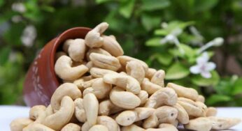 Cashew Nuts : జీడిప‌ప్పులో దాగి ఉన్న ర‌హ‌స్యాలు ఇవే.. ఎవ‌రు తిన‌వ‌చ్చు, ఎవ‌రు తిన‌కూడ‌దు..?