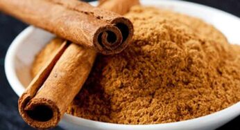 Cinnamon : షుగ‌ర్‌ను త‌గ్గించి కొవ్వును మొత్తం క‌రిగించే దాల్చిన చెక్క‌.. ఎలా తీసుకోవాలంటే..?