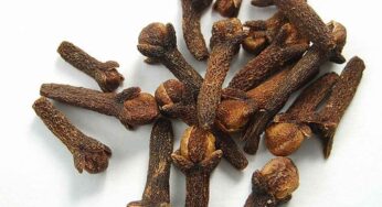 Cloves : ల‌వంగాల‌ను ఎక్కువ‌గా ఉప‌యోగిస్తున్నారా.. అయితే ఈ విష‌యాల‌ను తెలుసుకోండి..!